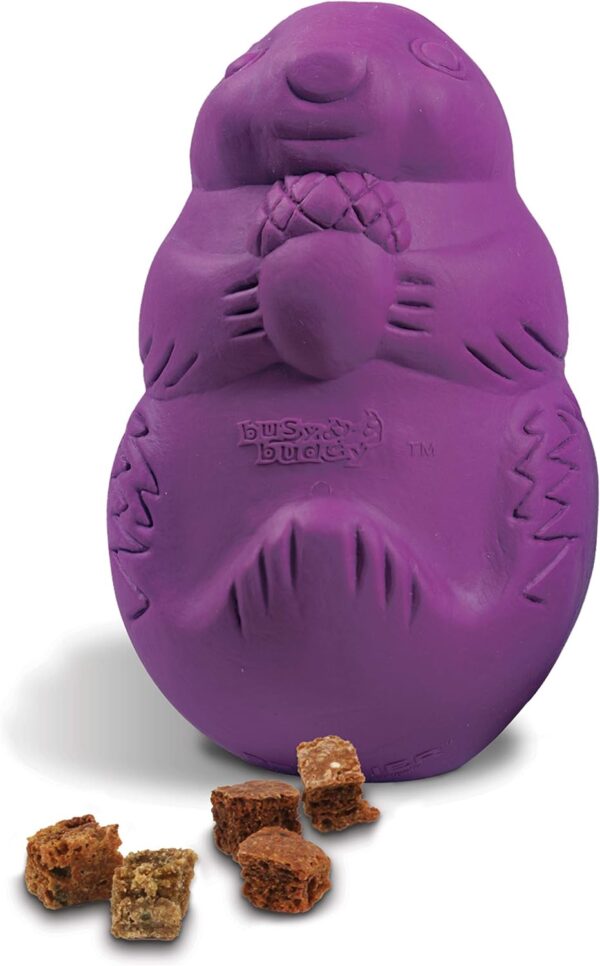 PetSafe Busy Buddy Squirrel Dude, Interactive Treat Dispensing Dog Toy - Chew Toy, Small Dogs