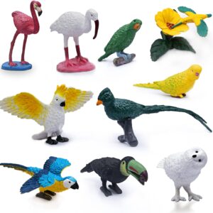 SIENON 10Pcs Mini Birds Figures, Plastic Bird Animal Toys, Realistic Bird Animal Figurines, Miniature Bird Animal Model Flamingo, White Ibis, Parrots, Hummingbird Educational Toy Cake Toppers