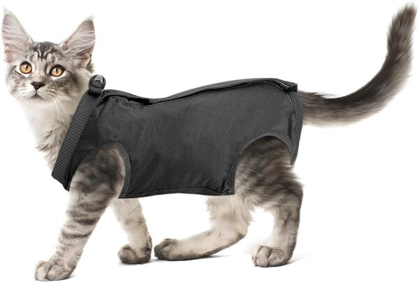 cobee Cat Professional Recovery Suit for Abdominal Wounds or Skin Diseases, Kitten Surgery Recovery Suit E-Collar Alternative for Cats After Surgery Wear Pajama Suit (M Size, Gray)