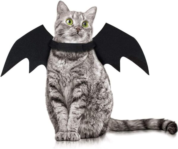 obqo Halloween Pet Bat Wings Cat Dog Bat Costume Pet Costume Halloween Accessory for Puppy Dog and Cat